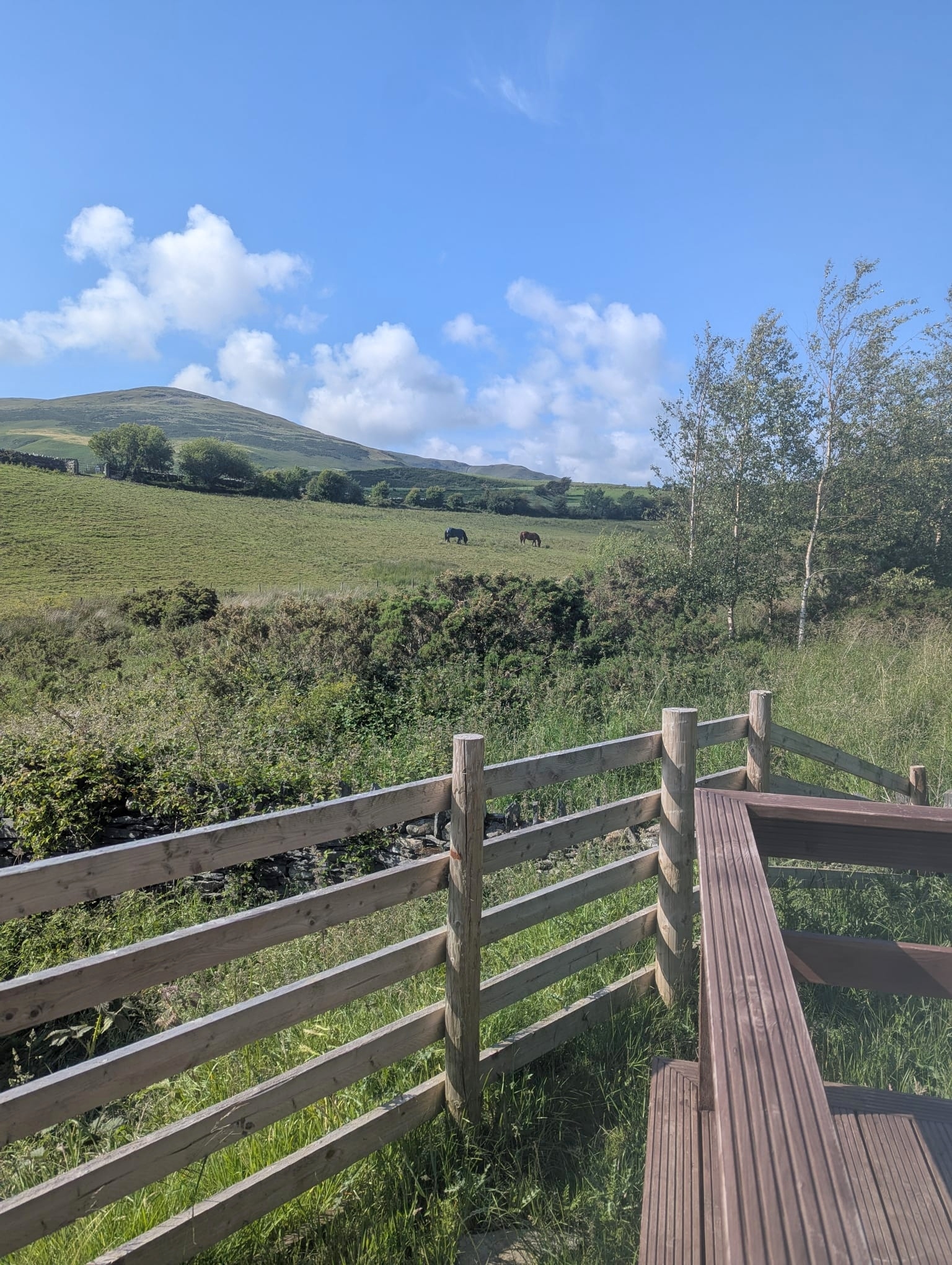 Glamping lodge in the lakes - enclosed garden