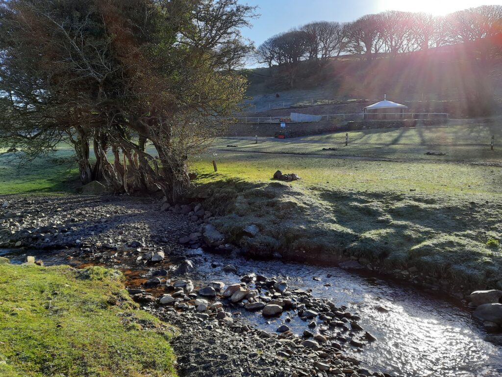 Car free family camping streamside grass pitches
