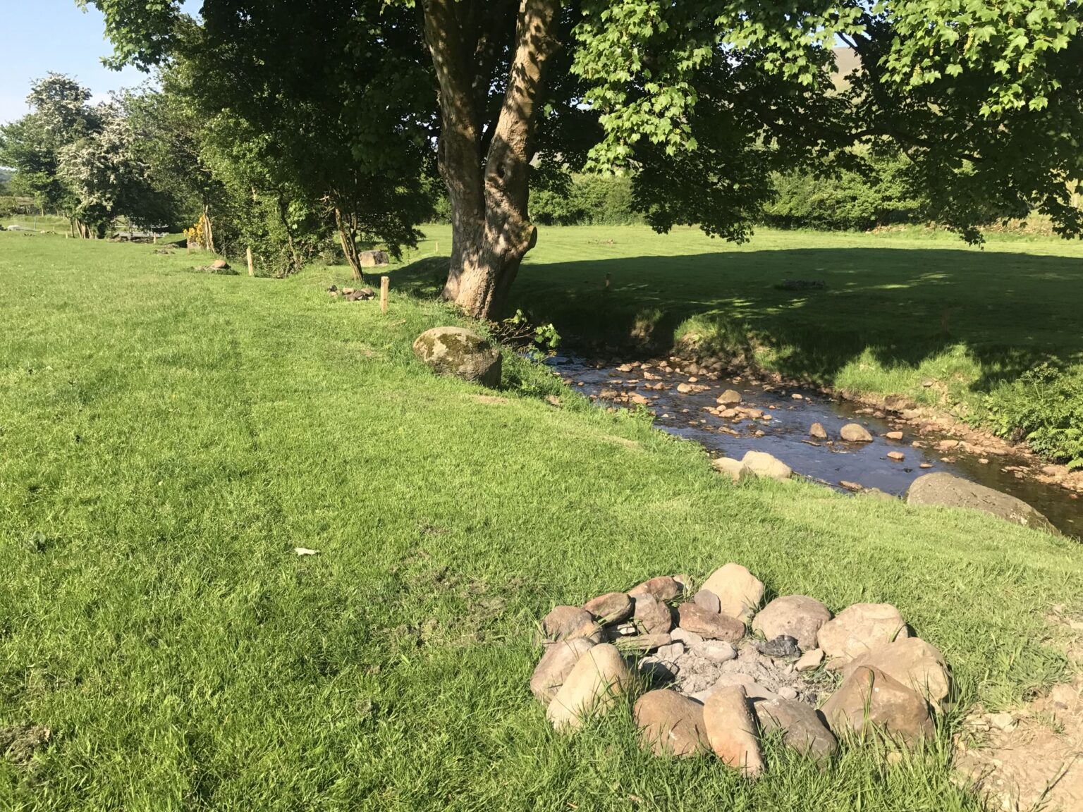 Car free family camping streamside grass pitches