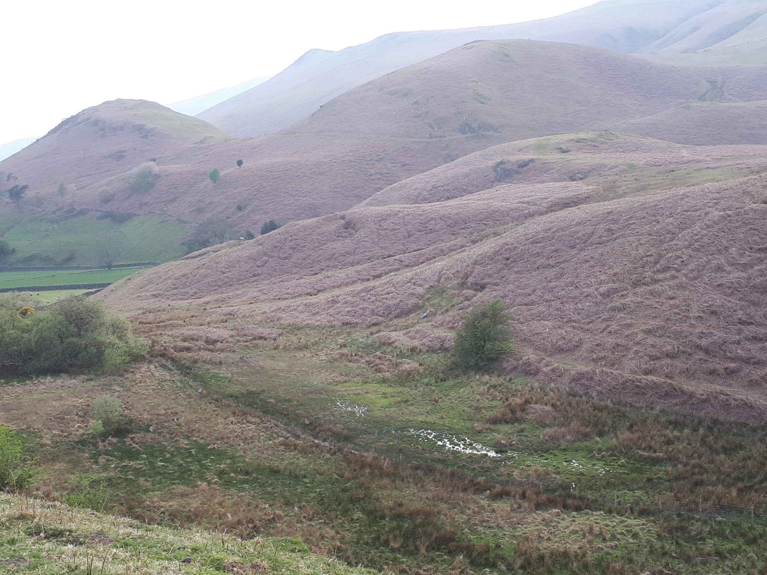 Baystone Bank Farm Campsite