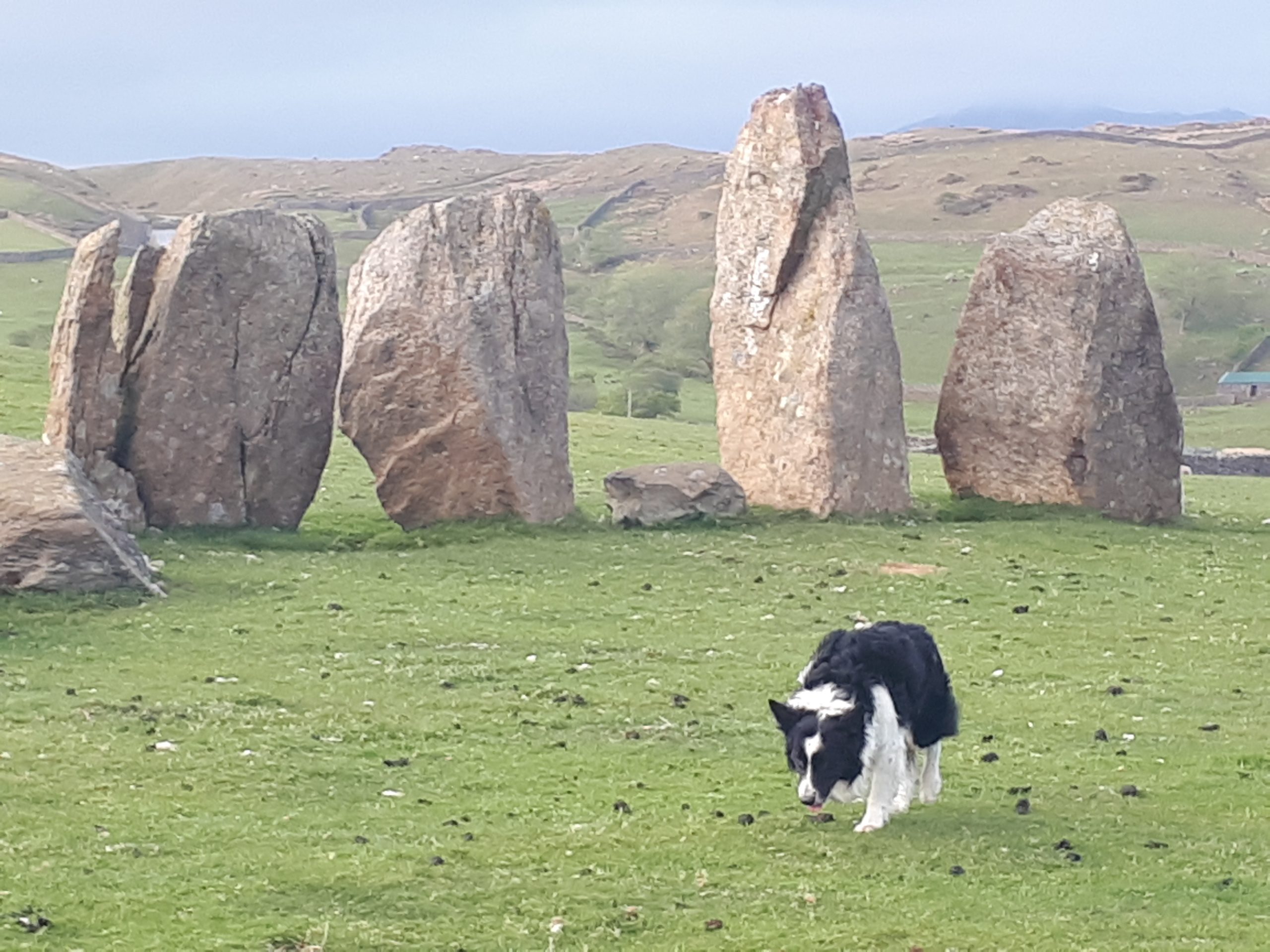 Baystone Bank Farm Campsite