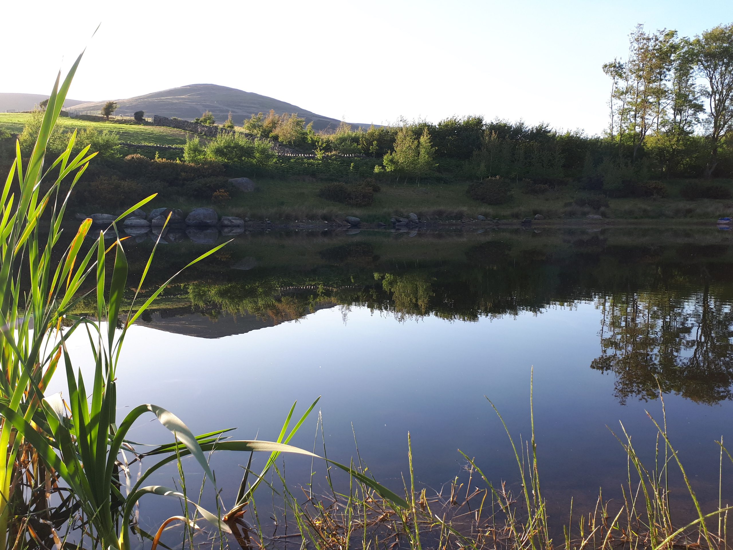 Baystone Bank Farm Campsite