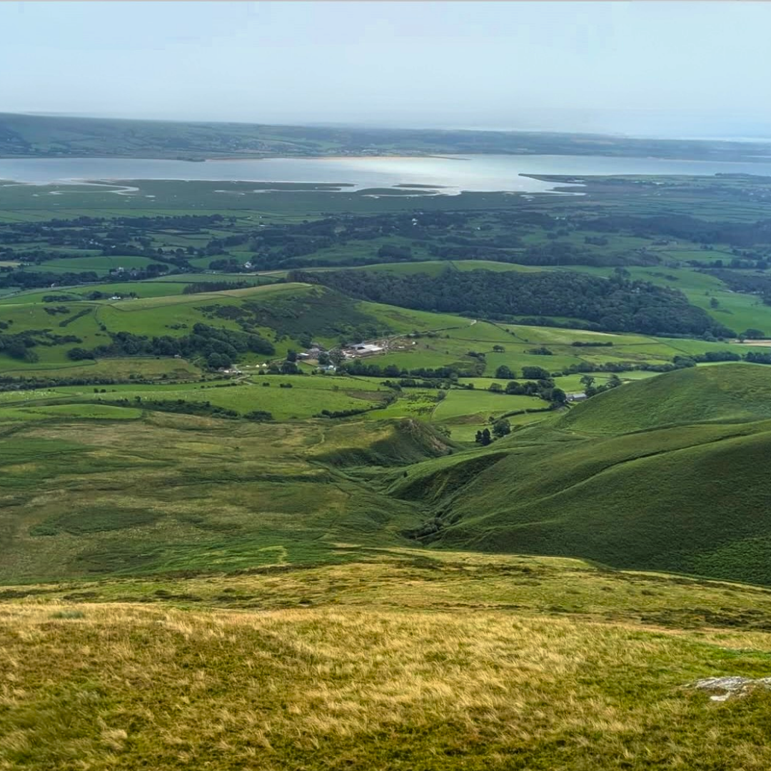 View to Estuary
