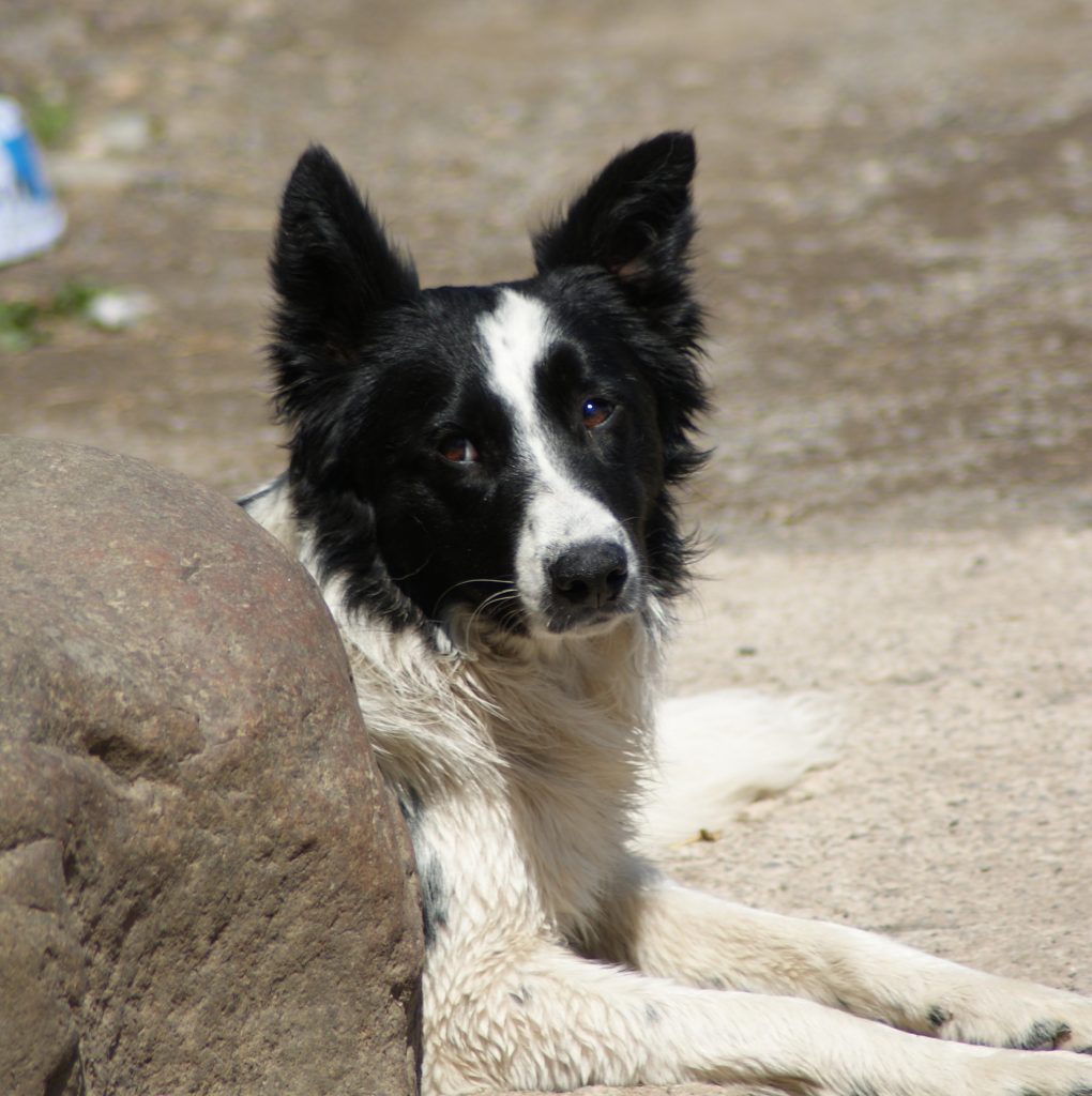 Baystone Bank Farm Campsite baggings