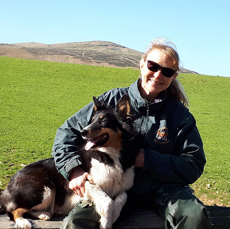 Baystone Bank Farm Campsite therry