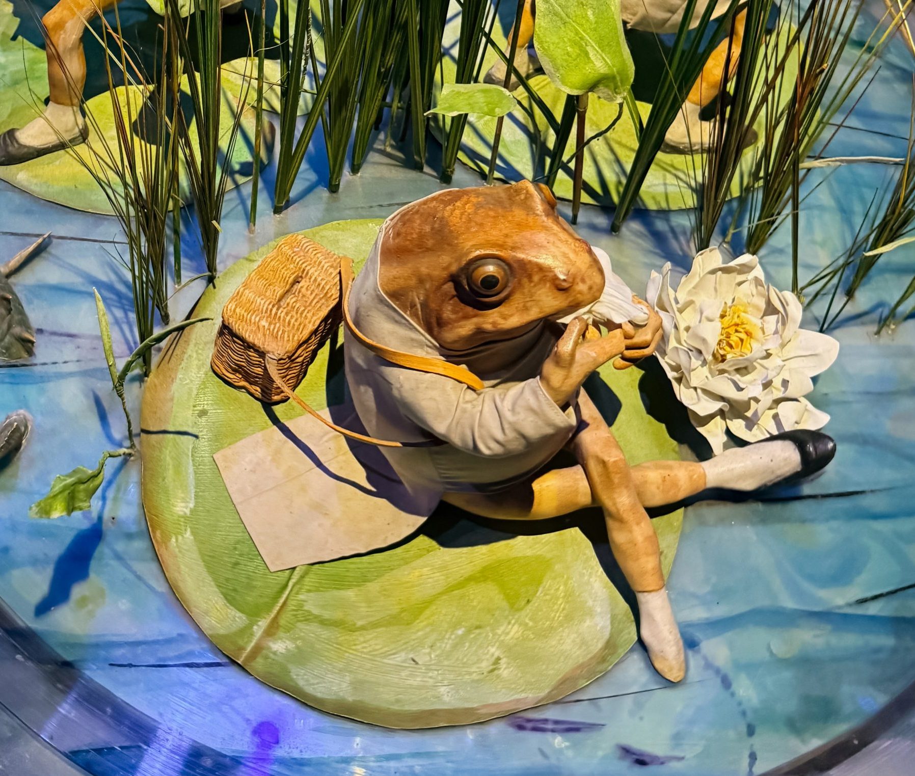 world-of-potter